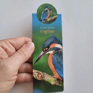 Cardmarks Kingfisher Bird Wild Nature Magnetic Magnet UK Company If 2402 Y2k 00s